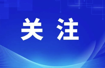 山东春节网零额增长13.2%，32.7万人参加有奖发票活动