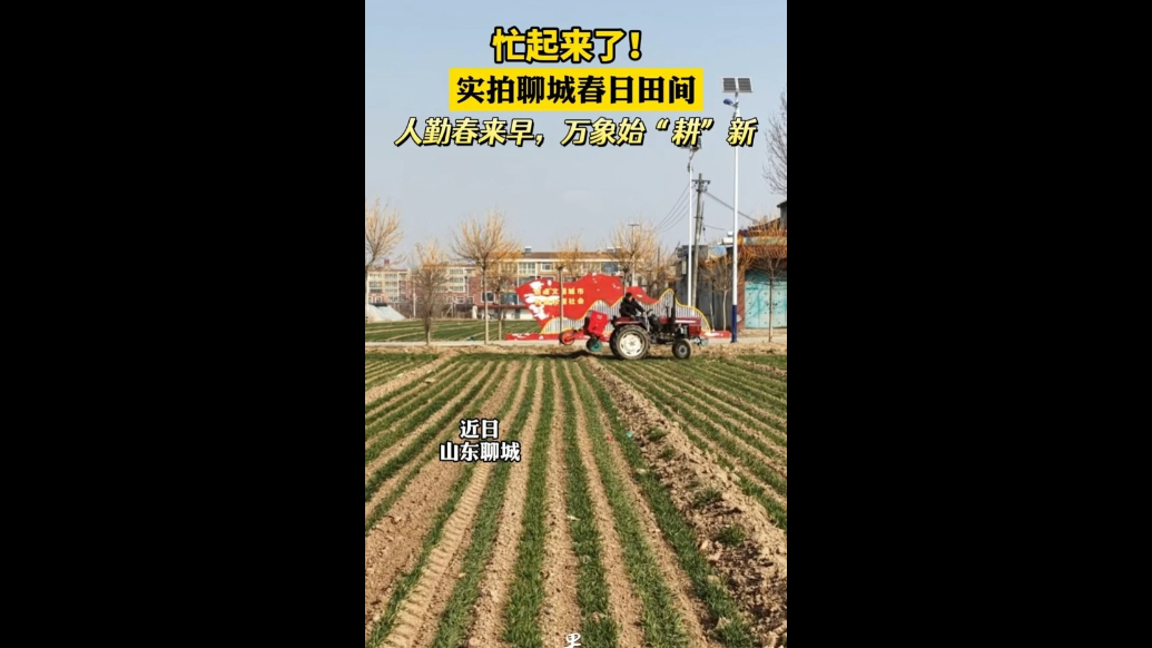 实拍聊城春日田间：人勤春来早，万象始“耕”新