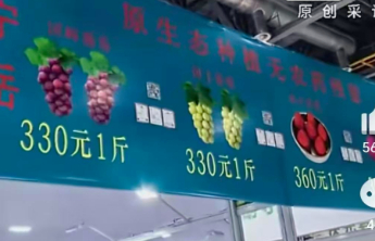 “草莓360元1斤”，用牛奶灌溉是不是噱头？