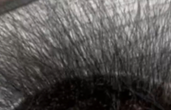 男子春节前将一碗牛肉饭遗忘在办公室，节后返工发现其发霉长出15厘米高“黑色丛林”