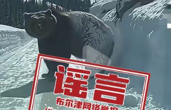 网友发视频称“新疆喀纳斯出现棕熊”，喀纳斯景区辟谣