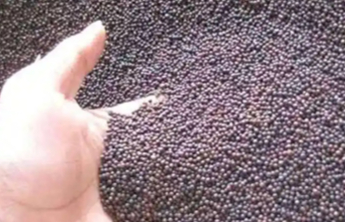 商务部就对加拿大油菜籽反倾销案终裁答记者问