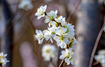 壹点日历3.1|心有光芒何惧路长，步步皆是向上！新的一天早安