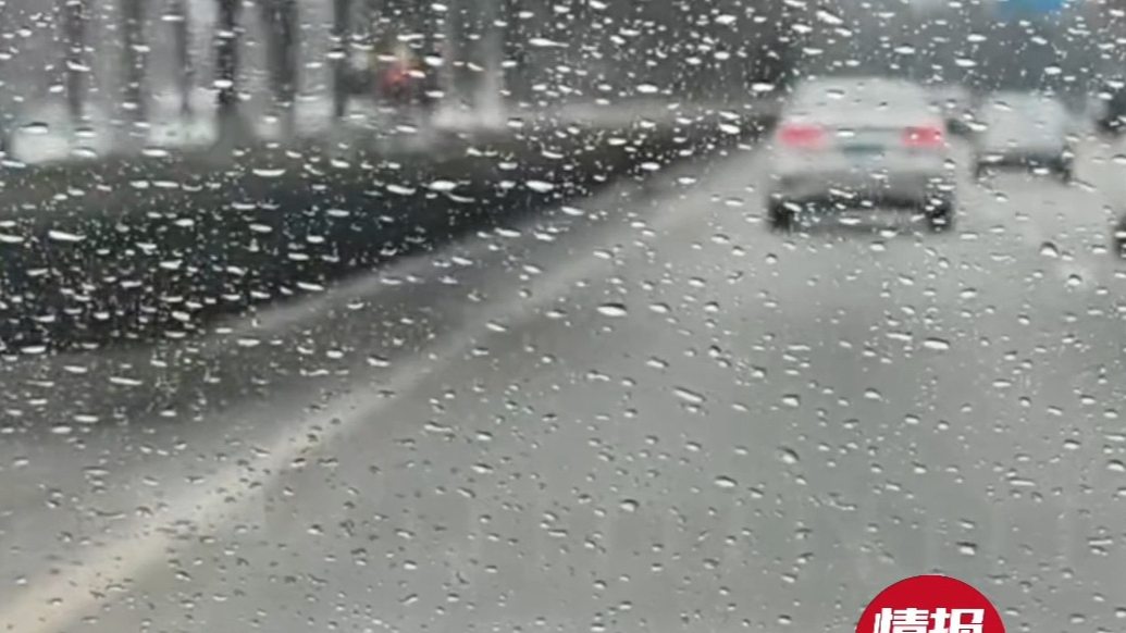 天气情报站|小雨润物！山东多地一场春雨降至，你那里下雨了吗？