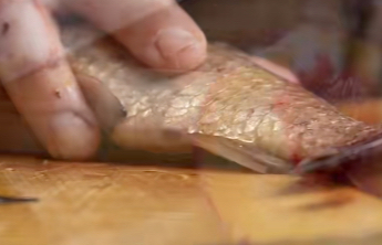 切完生鱼的砧板又切水果，女子食用水果后变“小黄人”，确诊为急性戊型肝炎