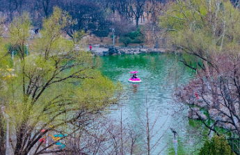 壹点日历3.2|蝶舞蜂忙春正好，枝头新绿已含情！早安