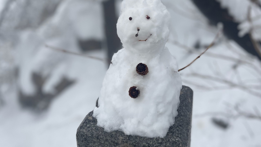 果然视频丨雪落崂山，童趣满峰，随处可见小雪人