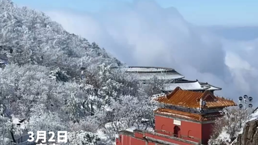 果然视频｜泰安冬春同框！山上白雪皑皑，山下春暖花开