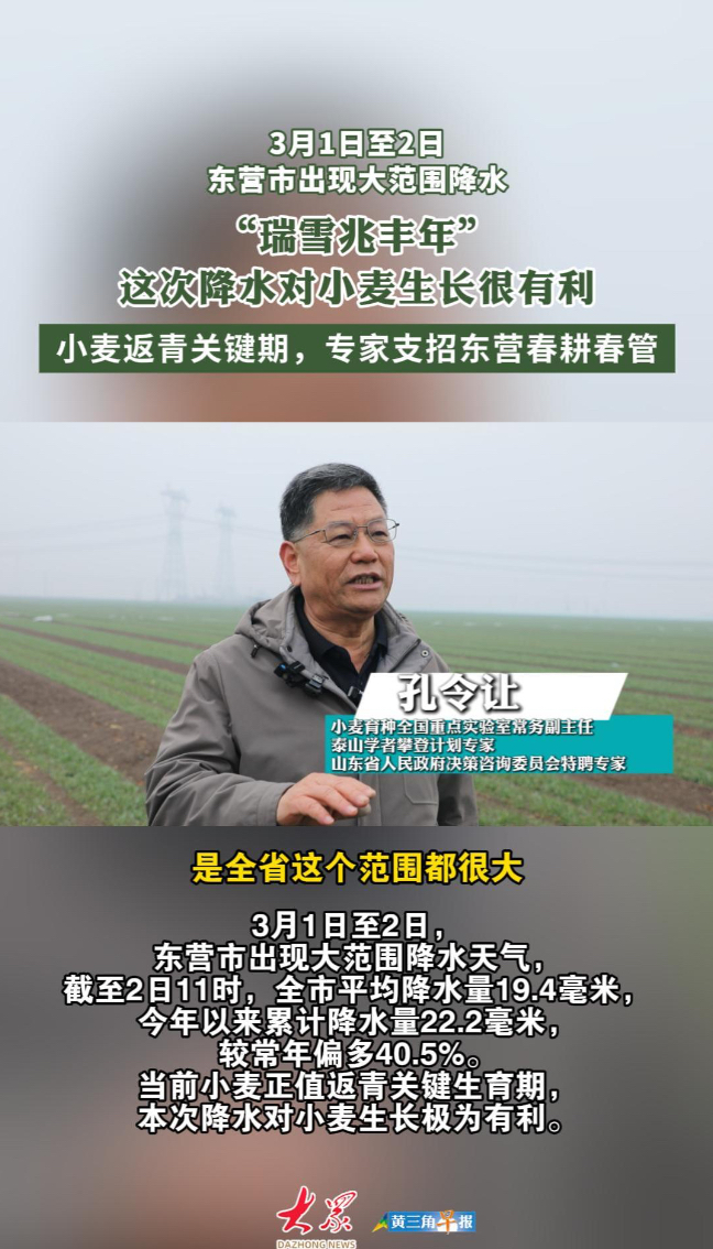 瑞雪兆丰年！小麦返青关键期，东营出现大范围降水，专家支招春耕春管