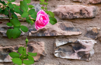 人间|为她过得轻盈舒畅