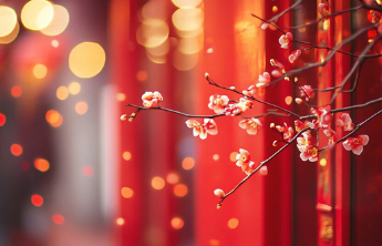 人间|陪315岁的四老举杯