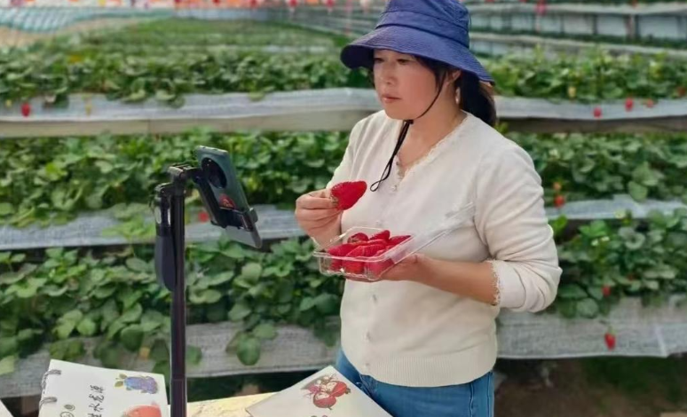 从服装店老板到新农人，探寻青岛西海岸新区大场镇杨治香的致富经