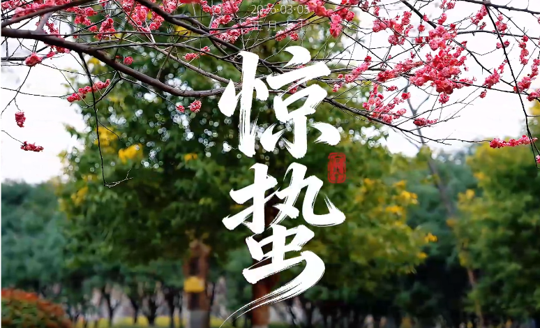 果然视频|时令·惊蛰