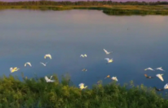 生态环境法典草案对烧秸秆、“家门口”油烟恶臭噪声等作出规定