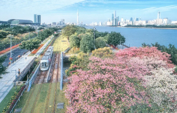 冬天正从广东消失？气象专家解析冬季天气反常原因