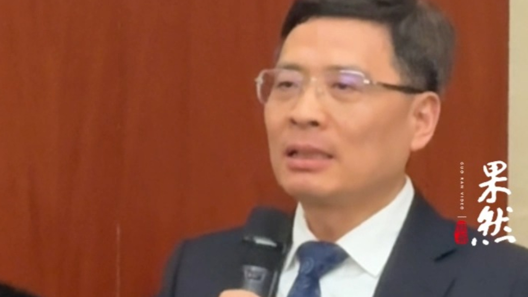 两会声音|全国人大代表周云杰：中国品牌出海，不是为了卷赢谁