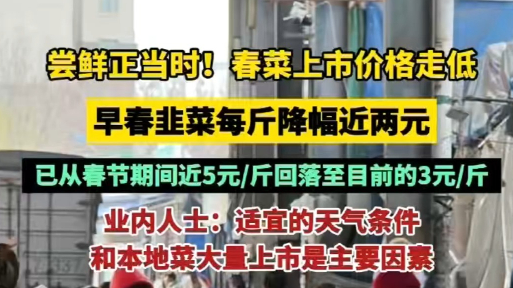 果然视频|部分春菜每斤降价近两元，尝鲜正当时