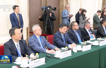 聚力全球，嬴彻科技CEO马喆人出席中德经济顾问委员会座谈会