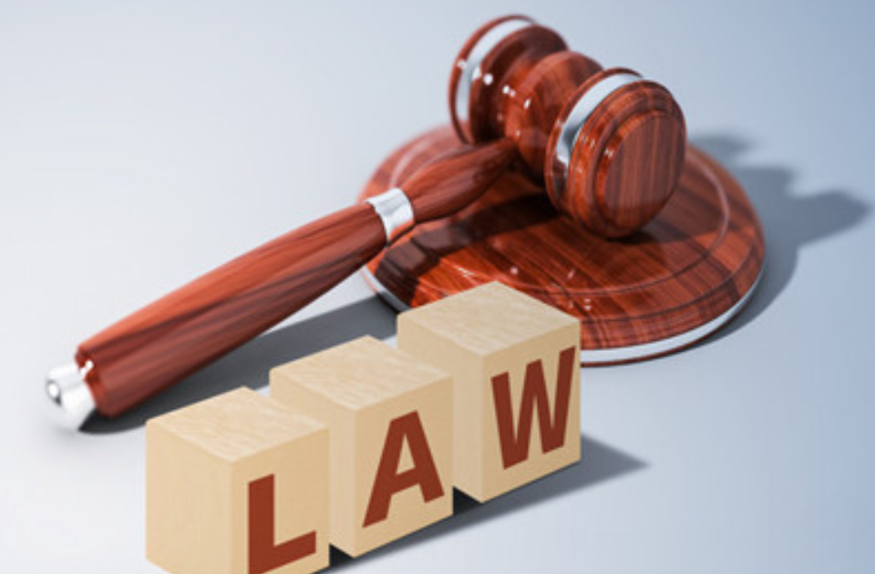 全国人大常委会一年来通过法律等24件