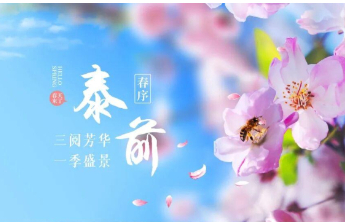 趁微风不燥，赴一场泰前的春日之约