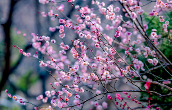 壹点日历3.10|每一天认真前行，生活自会给你答案！早安