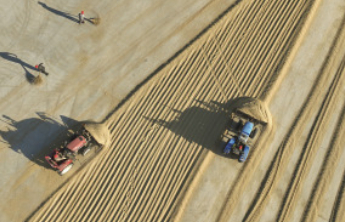 全国秋粮累计收购超3亿吨