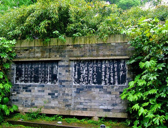 写作|沈园几度柳又青