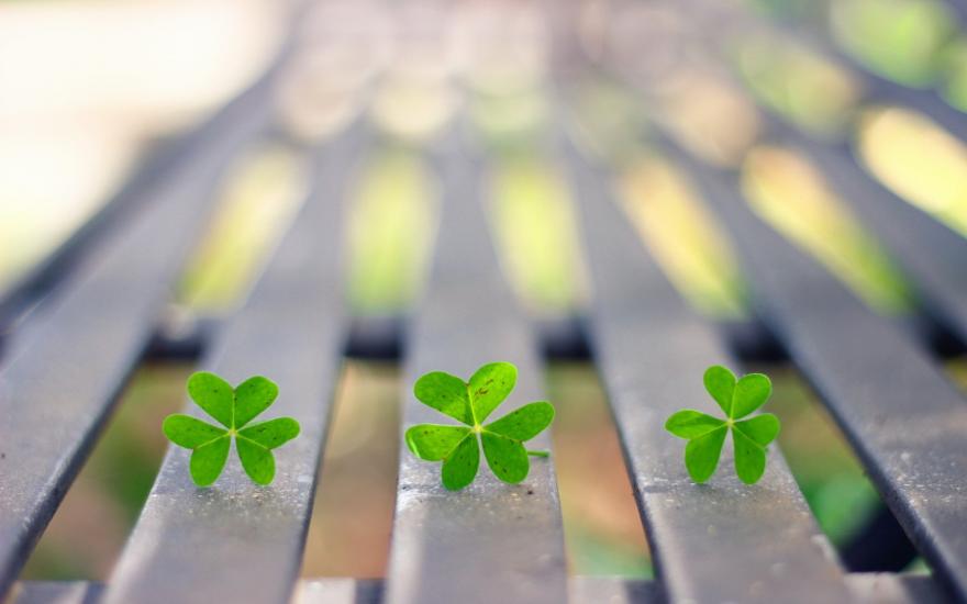 写作|妈妈的数落