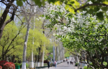 涵盖120余种赏花植物，济南9大公园景区赏花打卡指南来了