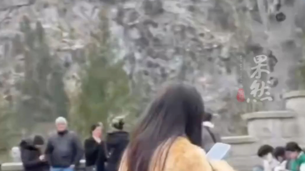 果然视频|清一色坐路边刷屏，上万的海外研学成了“到此一游”？