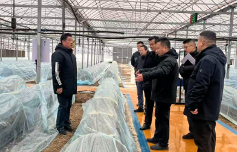 加压奋进开新局|许商街道：锚定“产业突破年”，迈上发展新征程