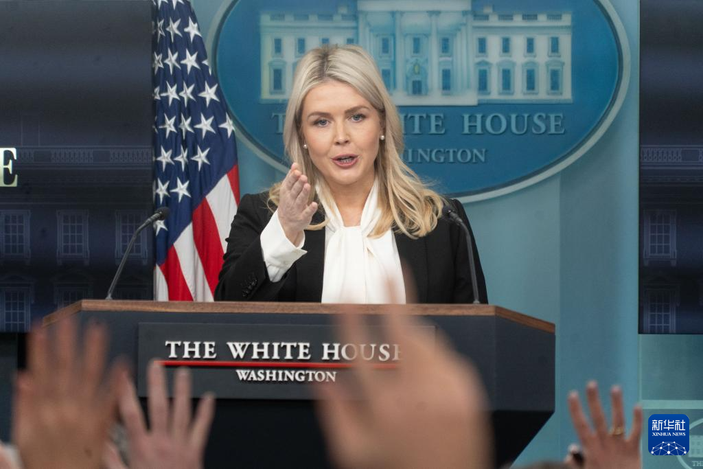 白宫：美舰尚未护送船只过霍尔木兹海峡