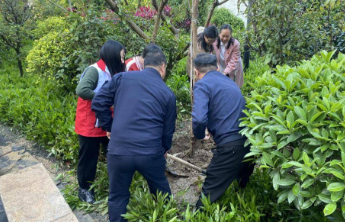 为护绿凝聚800万巾帼力量，山东妇联宣讲覆盖超1.1亿人次