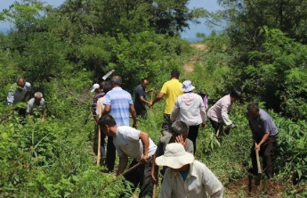 山东两大国土绿化试点项目取得关键进展，沂山造林成活率超90%