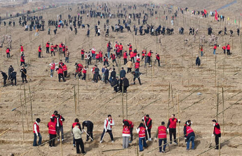 连续12年，山东省级机关沿黄植树7000余人次