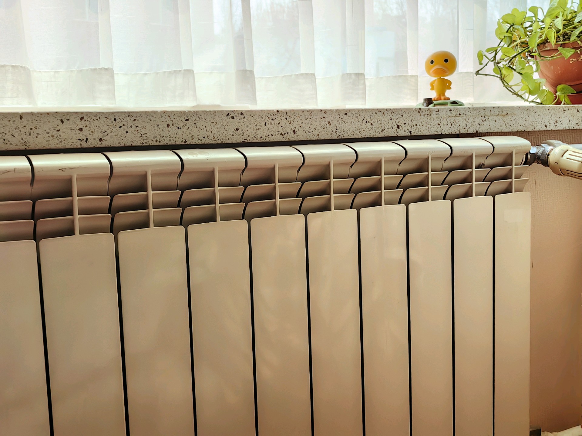 春意渐浓，济南什么时候停暖？