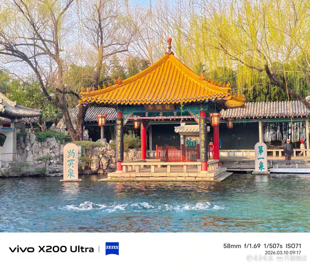 花开富贵，我在记录