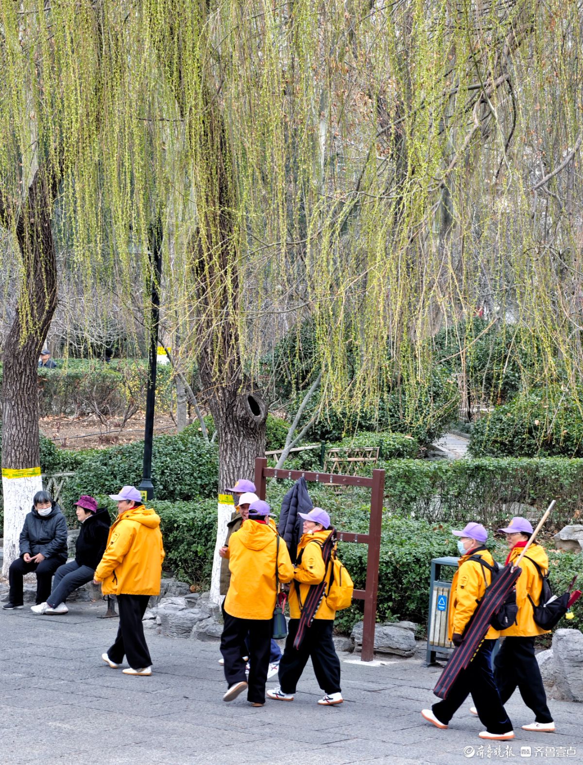 春天里的济南百花公园