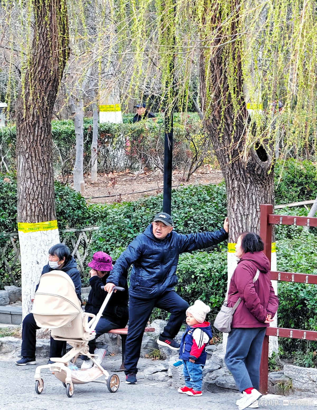 春天里的济南百花公园