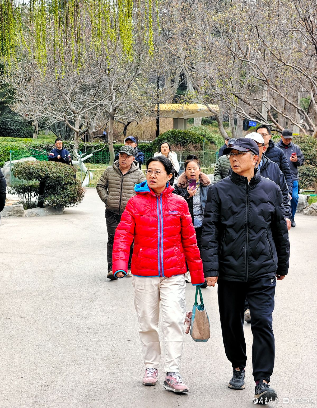 春天里的济南百花公园