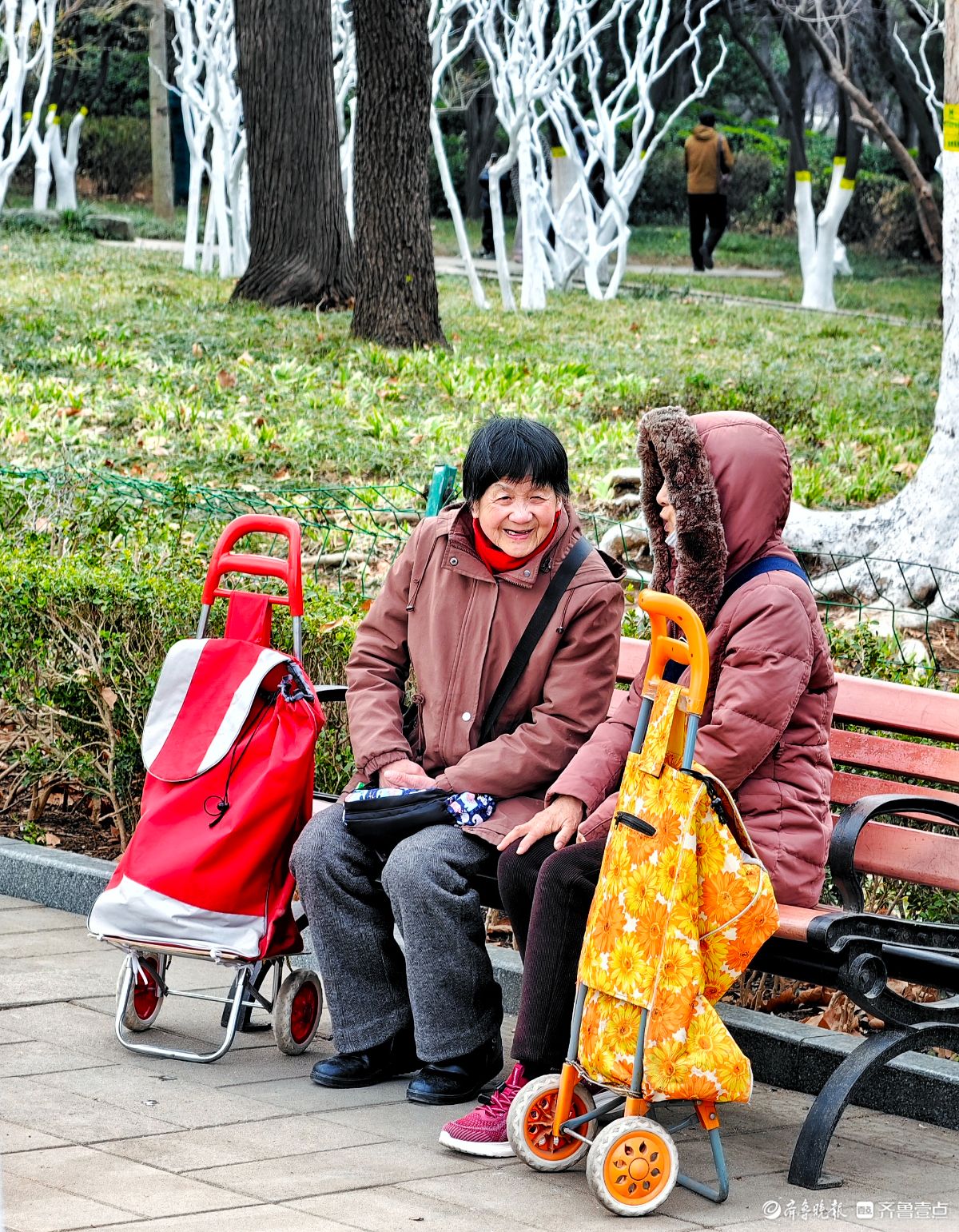 春天里的济南百花公园