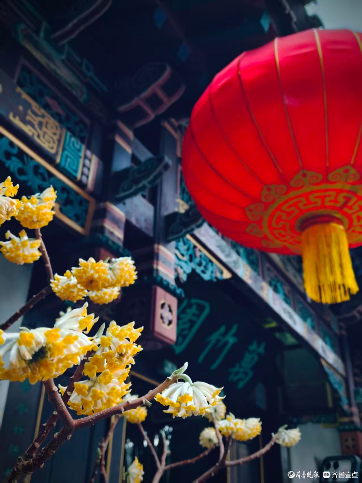 结香绕阁万竹园