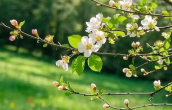 火遍社交媒体的ColorWalk，在“找颜色”中治愈人心