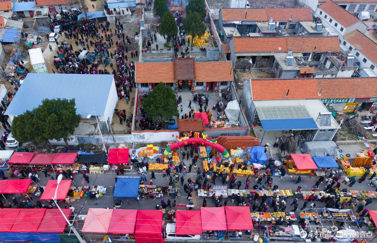 新春随手拍|龙村庙会