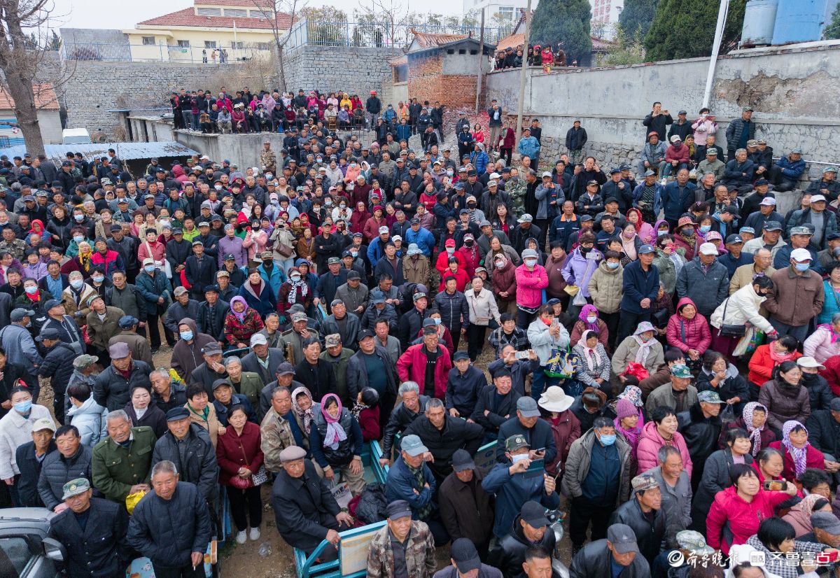 新春随手拍|龙村庙会
