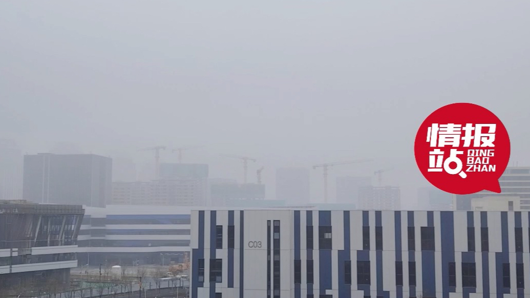 天气情报站|山东多地清晨有雾或轻雾，能见度低出行务必注意安全