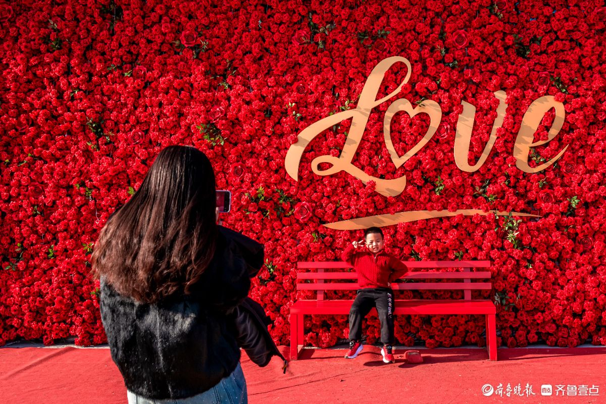新春随手拍|陪伴