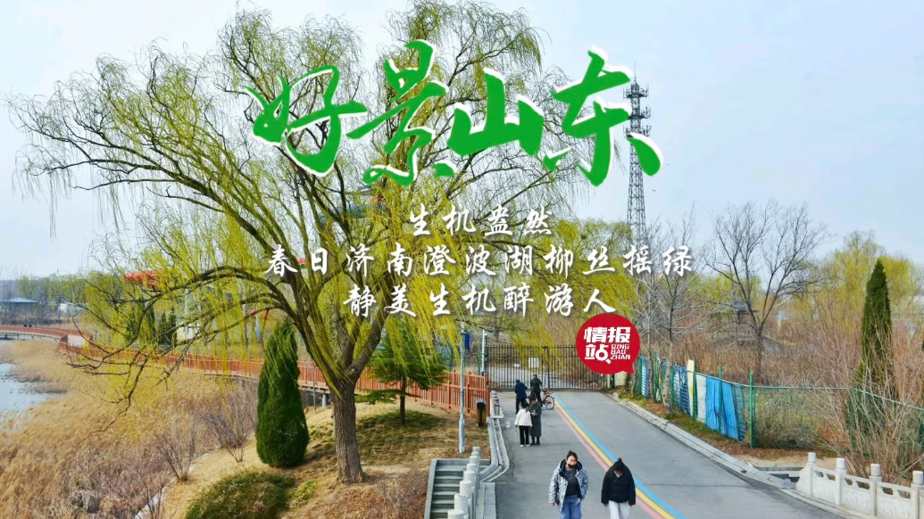 果然视频·好景山东|春日济南澄波湖柳丝摇绿，一派生机醉游人