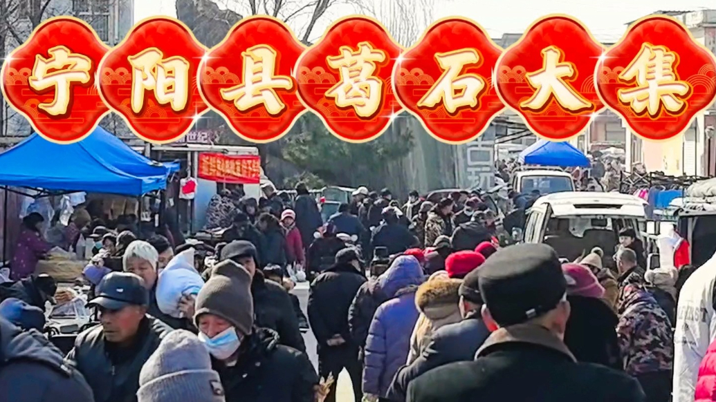 新春随手拍|热闹的宁阳县葛石大集