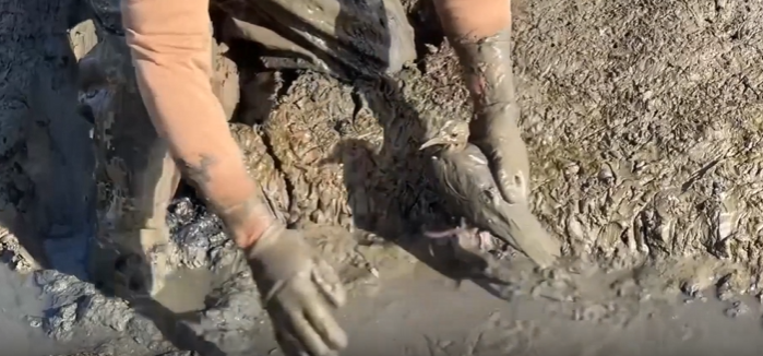 Volunteer crawls through mud to rescue trapped gull in Qingdao